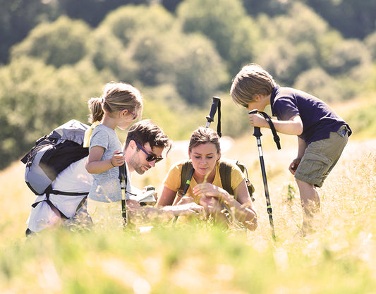 Nature’s Classroom: 4 Simple Outdoor Lessons for Your Kids